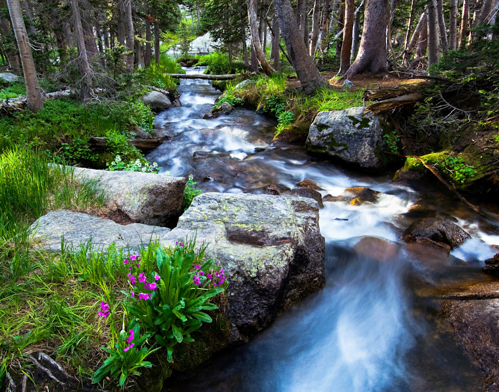 Art print of summer stream in the Rocky Mountains