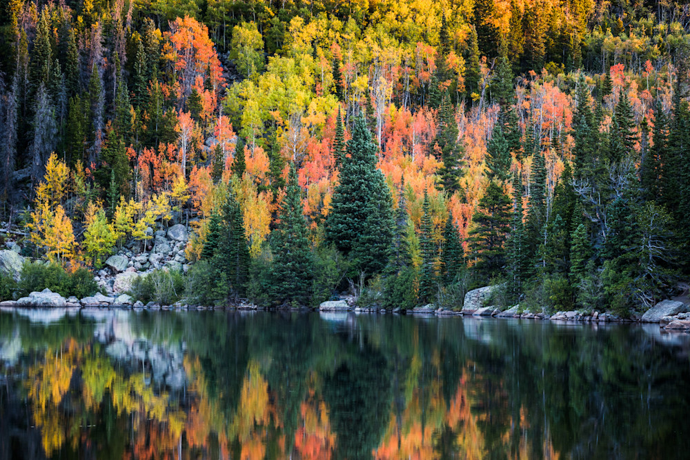 Art print of an autumn reflection upon Bear Lake