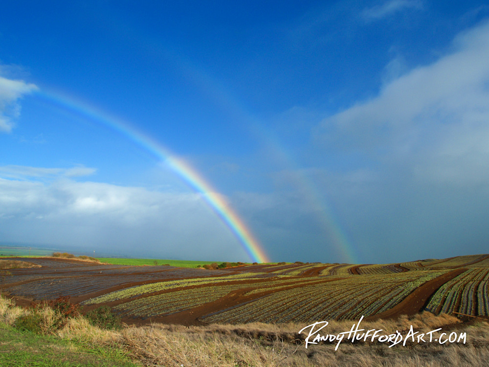 Rainbow Pukalani Rainbow Pukalani