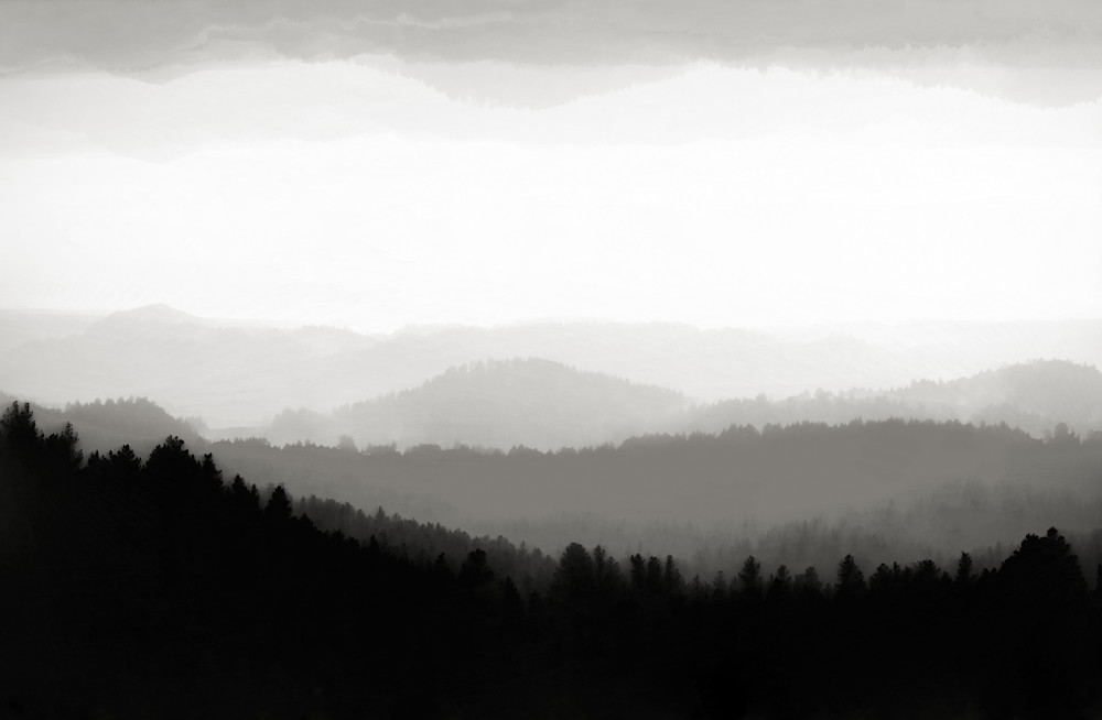 Morning Fog Morning Fog