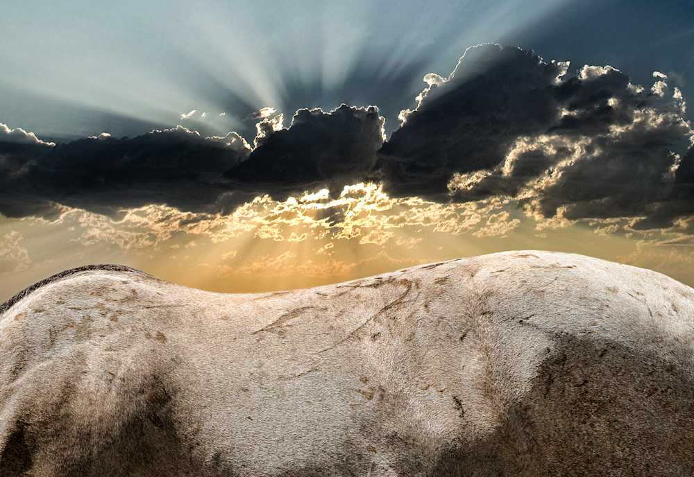 Tribulation Art | Craig Edwards Fine Art Images