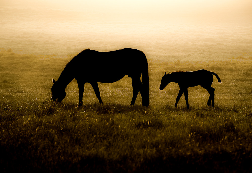 Dawn Art | Craig Edwards Fine Art Images
