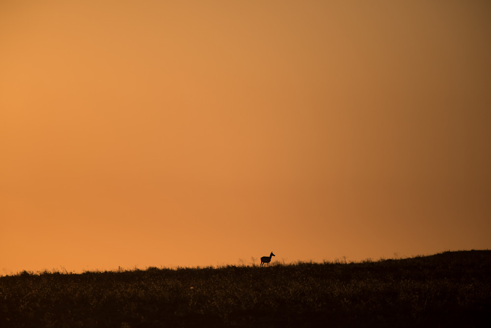 Antelope Sky Art | Craig Edwards Fine Art Images