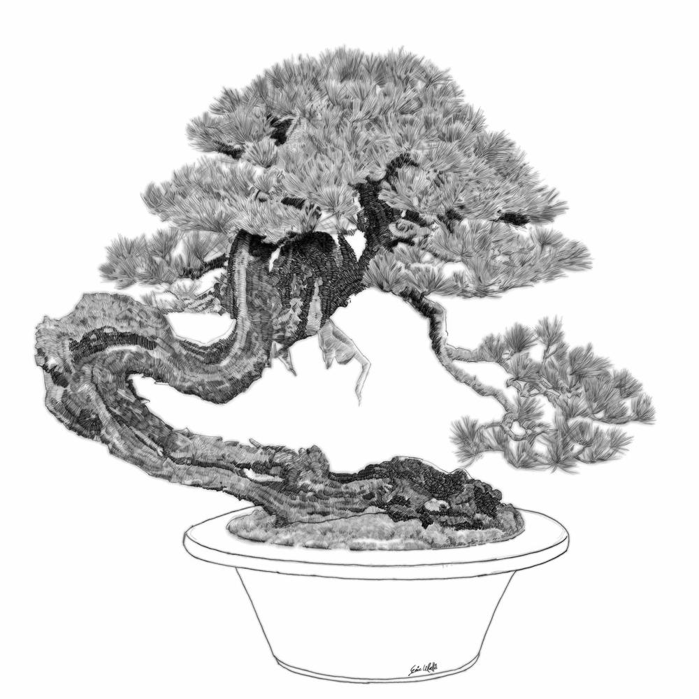 Digital etching by Eric Wallis, inventor of the technique, titled, "Bonsai Five."
