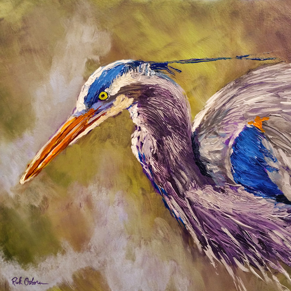 Original Square Great Blue Heron | Fine Art Print by Rick Osborn