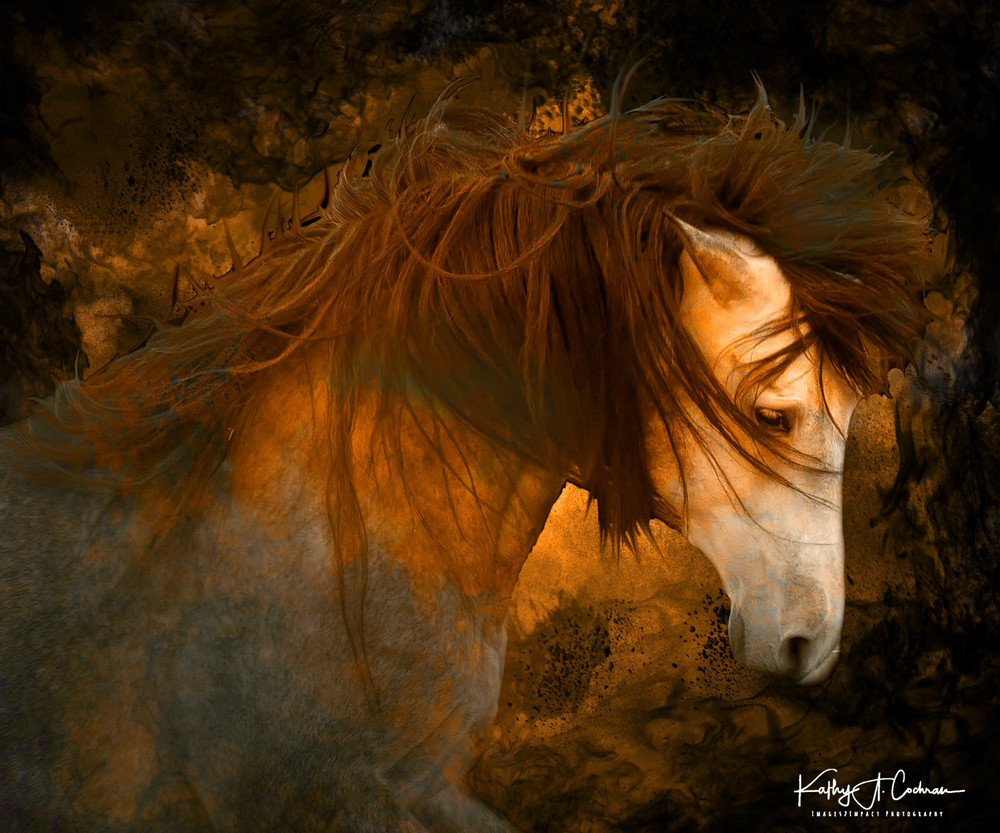 Equine Inferno Art | Images2Impact