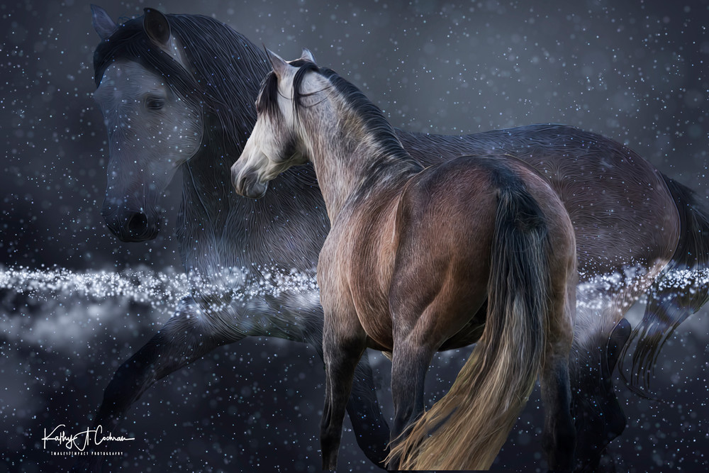 Equine Spirit Art | Images2Impact