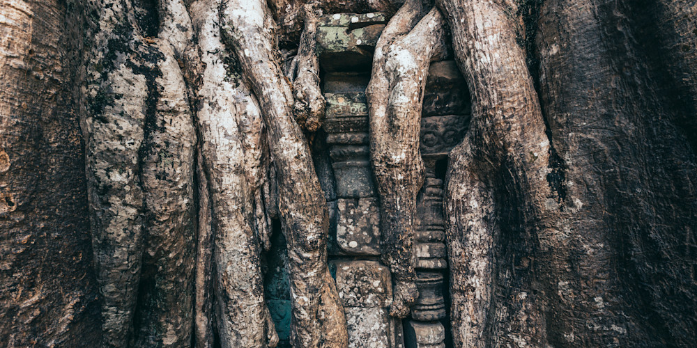 Angkor Wat | Cambodia | Ta Prohm | Tomb Raider Temple Photography Art | Sandra Jasmin Photography