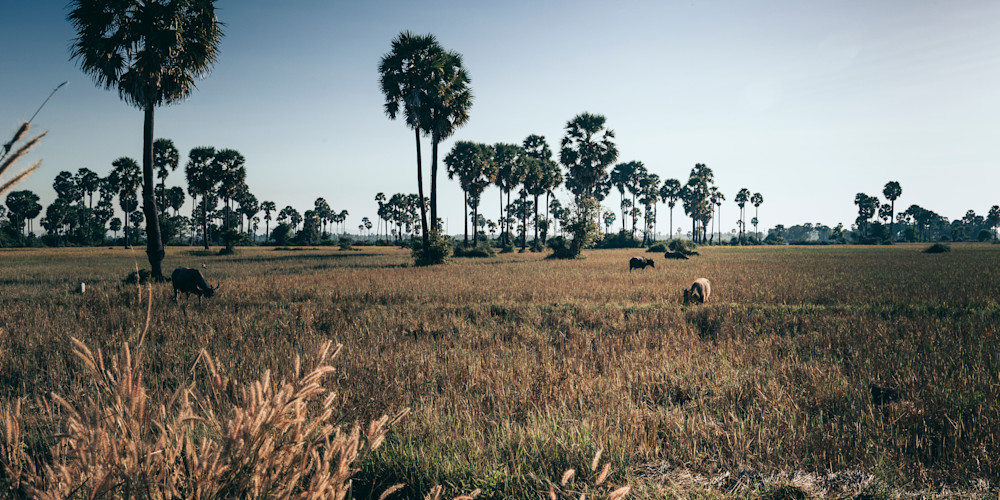 rural Cambodia