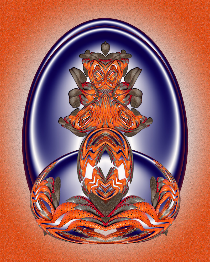 Ringneck King Art | Maureen Wilks Digital Fine Art