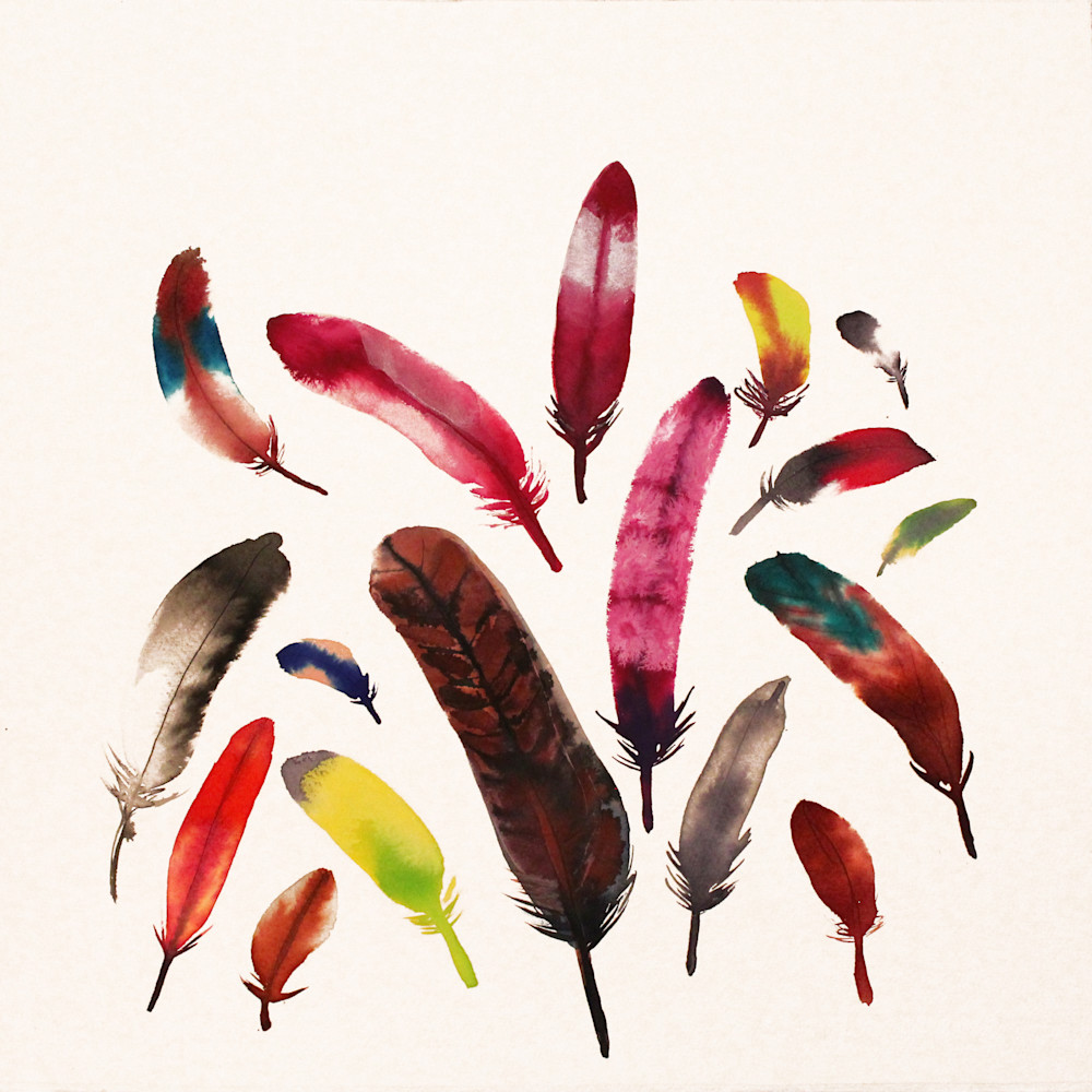 Purchase feathers cheap