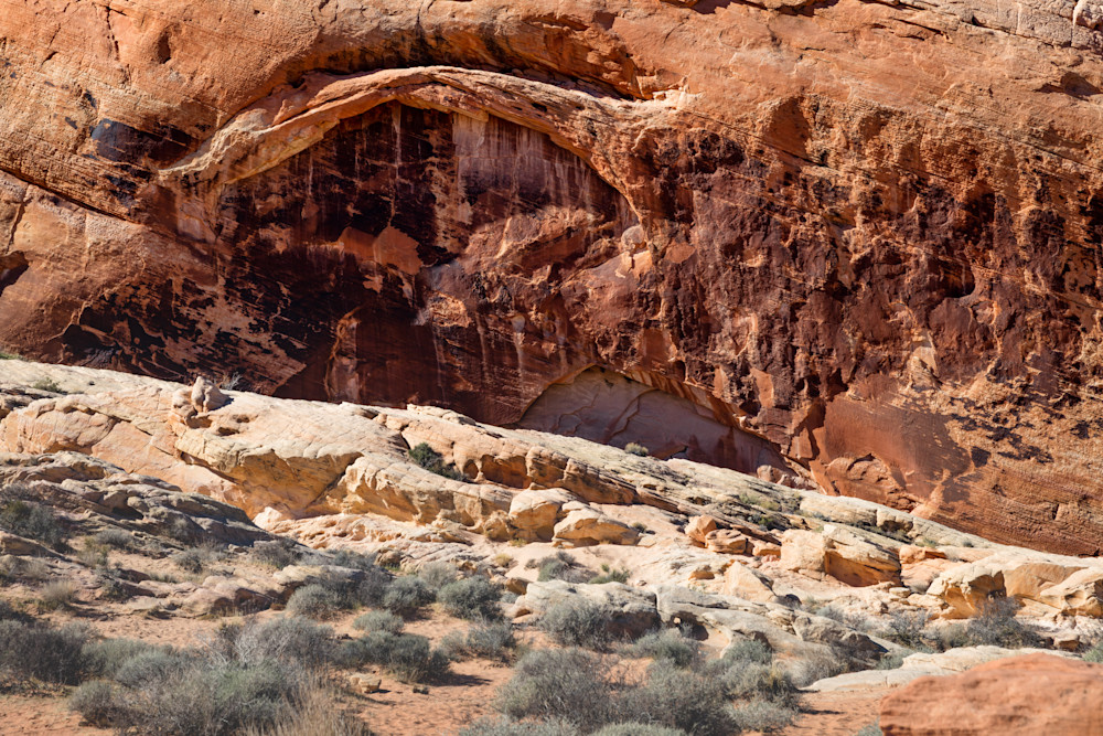 Protected Natural Arch, Valley of Fire, Nevada