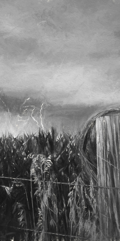 Lightning and Barbs Charcoal