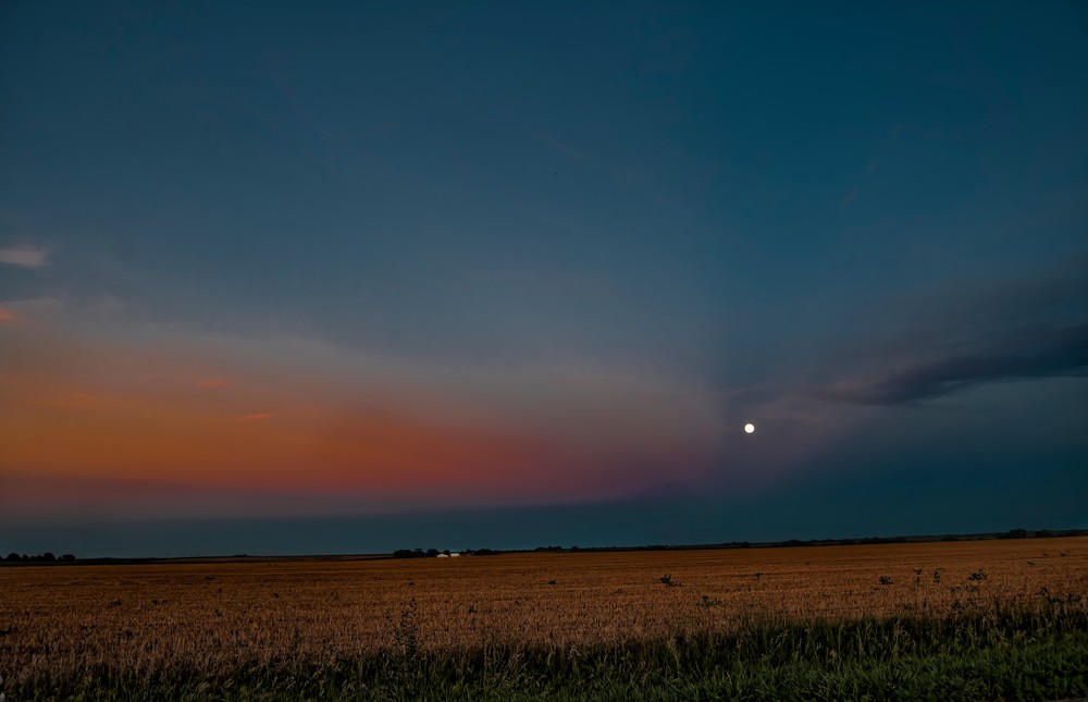 Clatonia Moon Rises in the Field