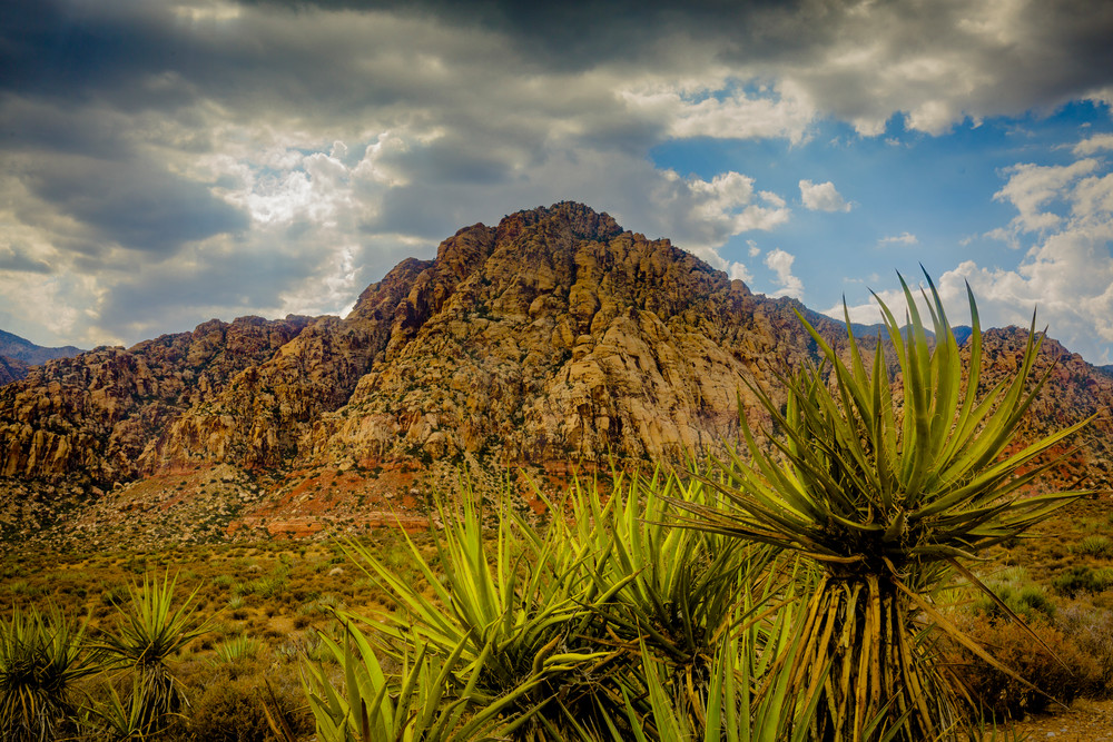 Mountains 1420 Photography Art | Sandy Adams Outdoorvizions Photography