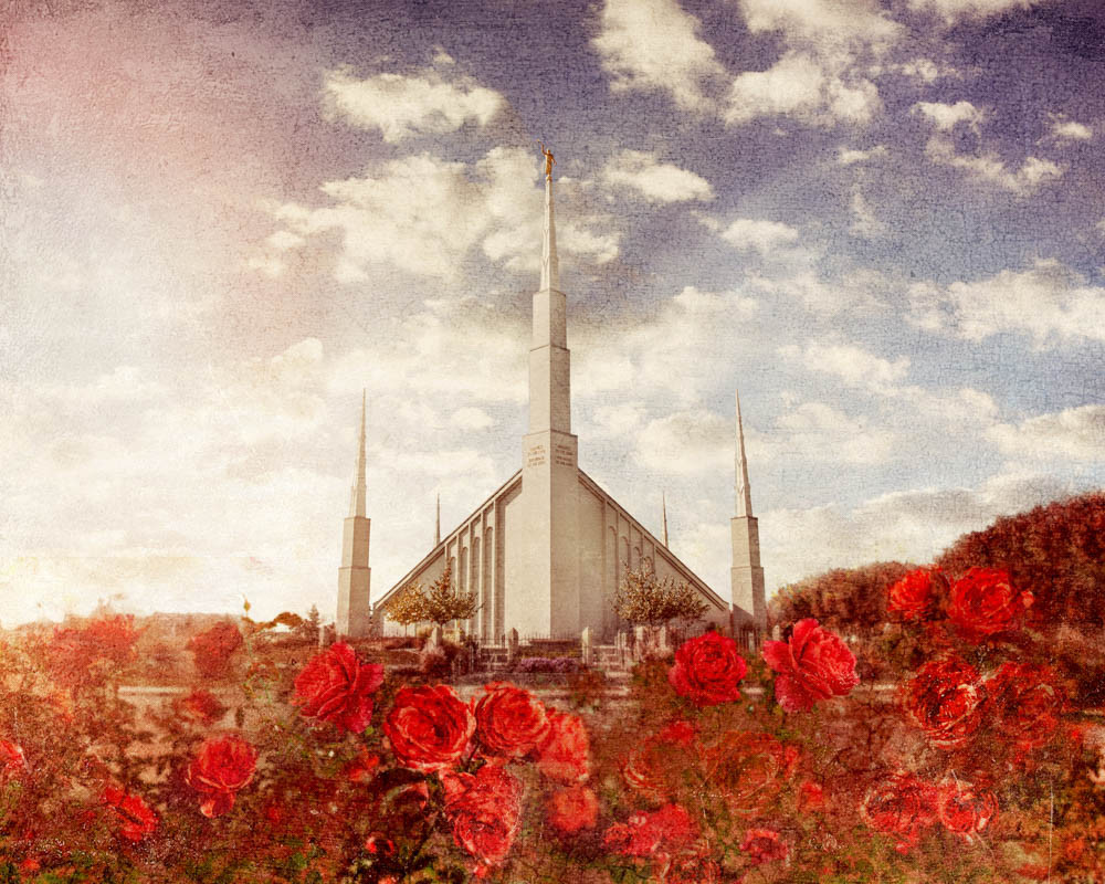 Boise Temple - Red Roses