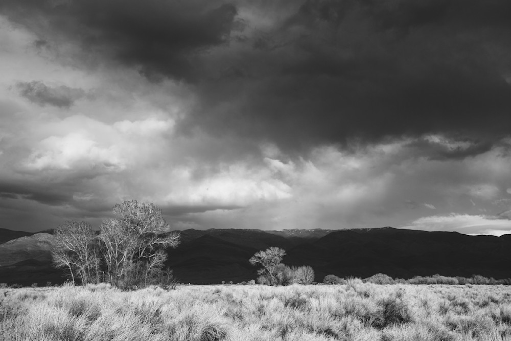 California landscape