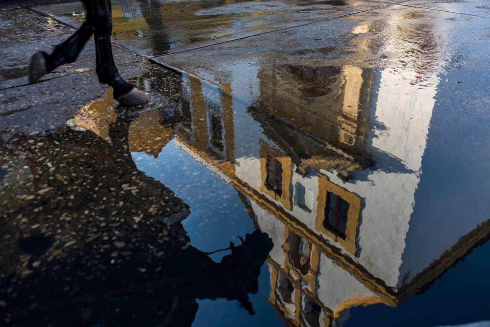 Cartagena church and horse reflected in water