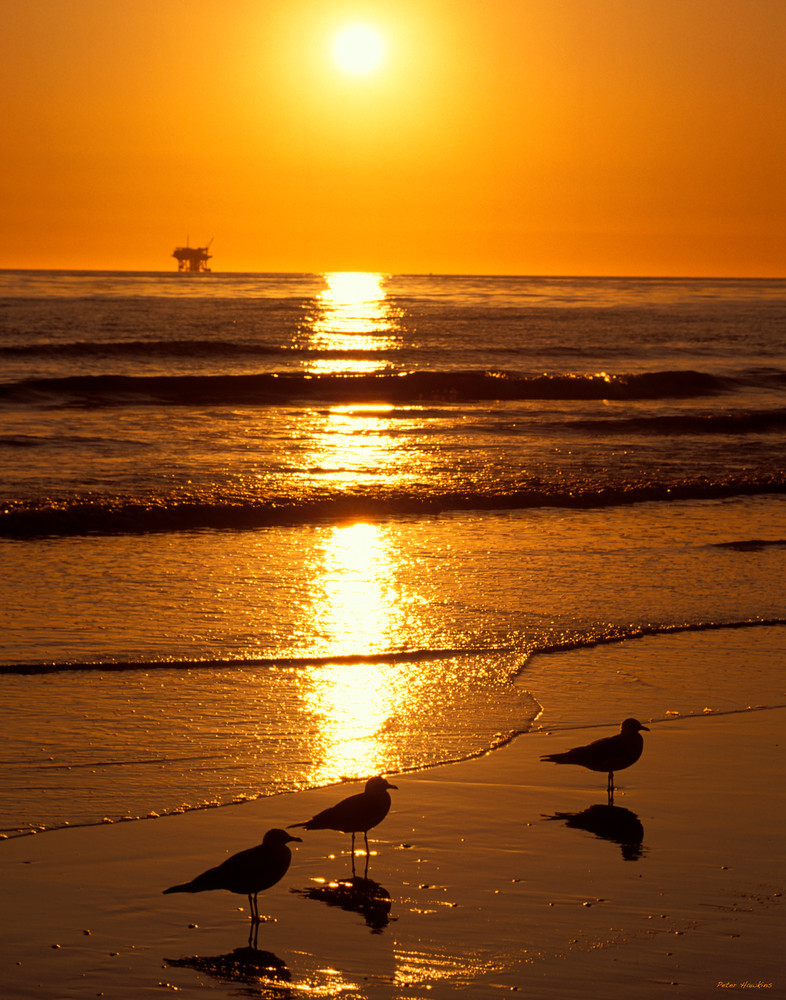 Sunset Carpenteria State Beach