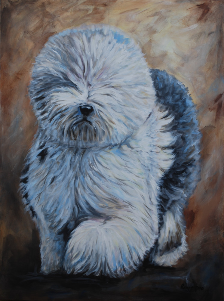Pet Portrait by Amy Keller-Rempp - dog - sheep dog