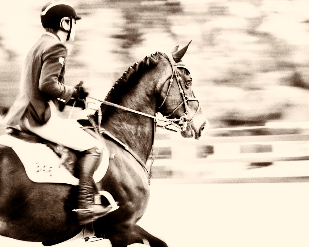 Focus, sepia Focus, sepia