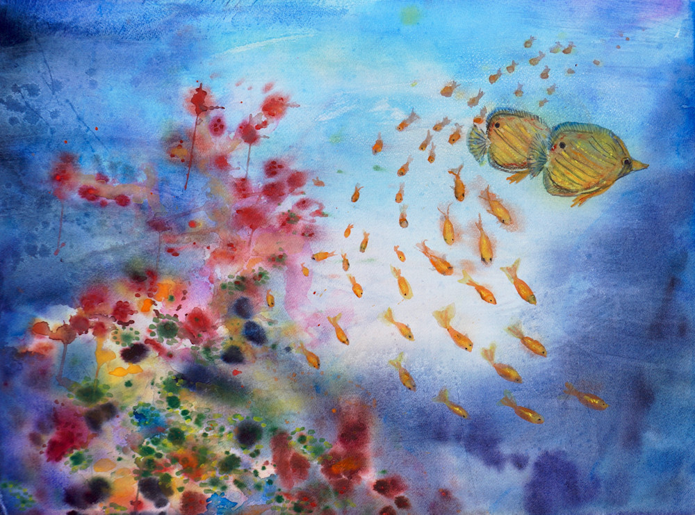 Coral Reef - Fine Art Prints on Canvas, Paper, Metal & More by Irina Malkmus