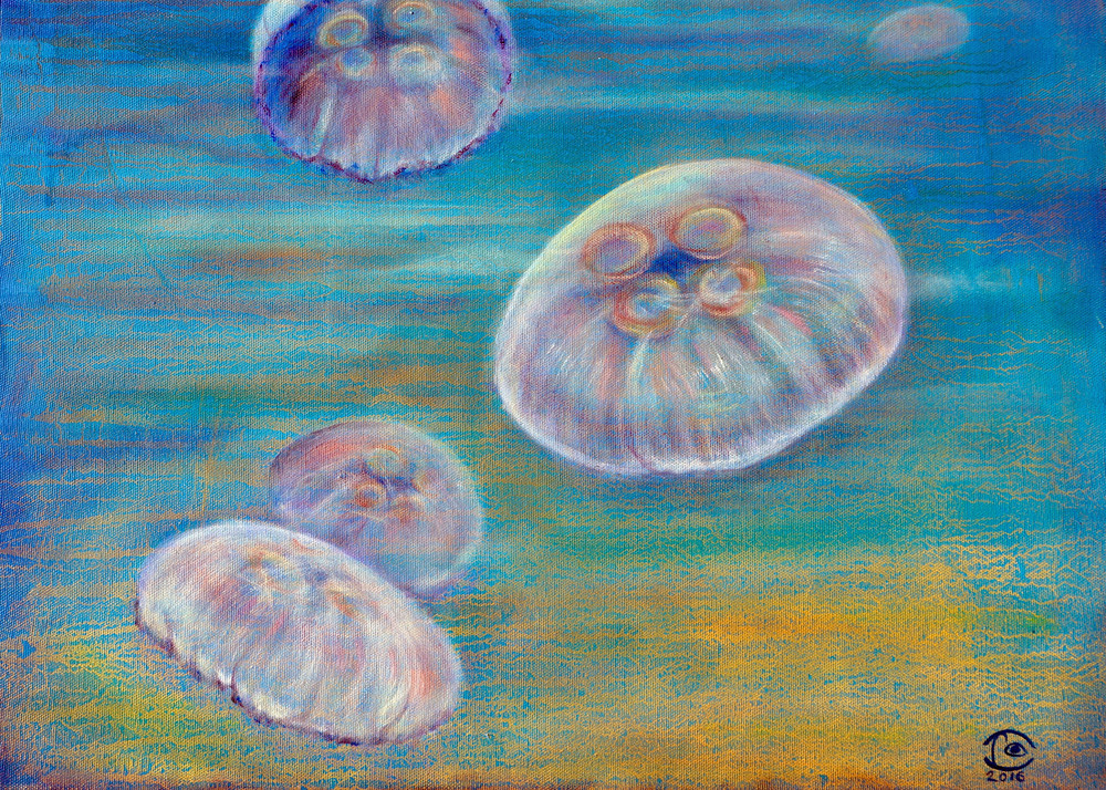 Sandy Place for Jellyfish – Fine Art Prints on Canvas, Paper, Metal & More by Irina Malkmus
