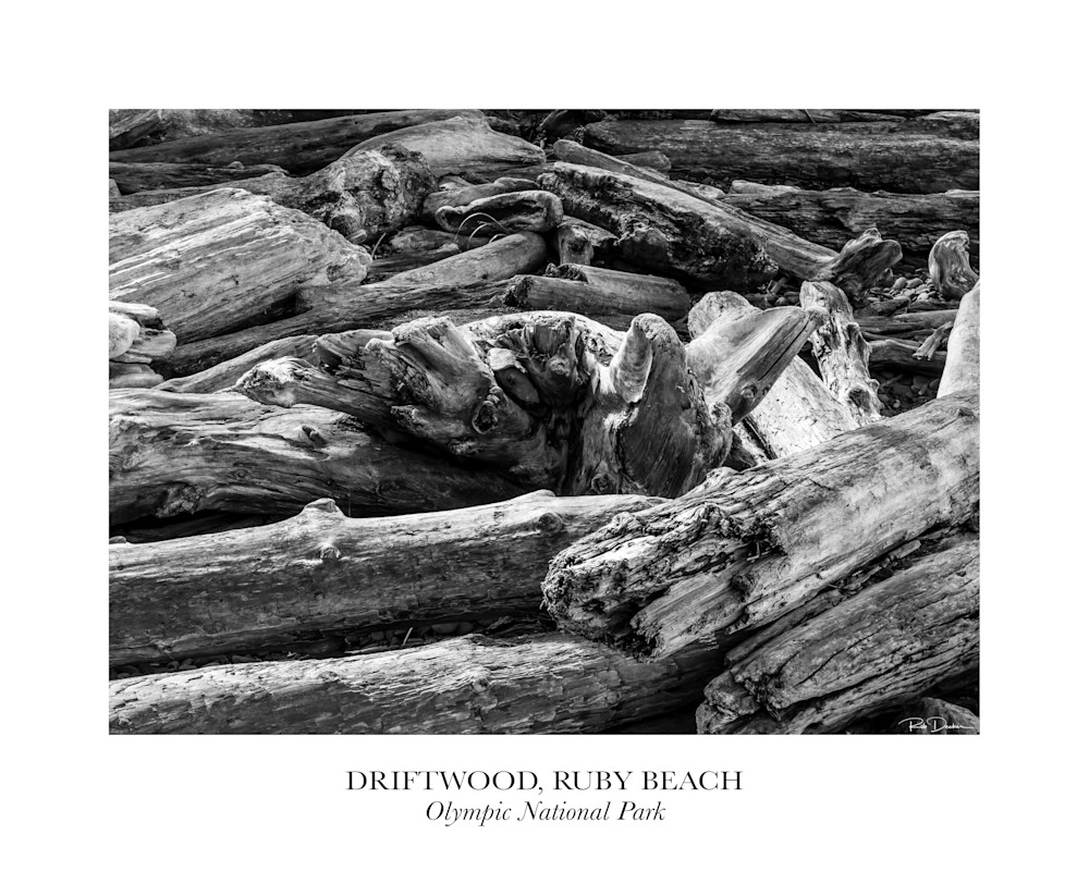Driftwood Ruby Beach   Olympic National Park Photography Art | Robert B. Decker - Fine Art | Photography