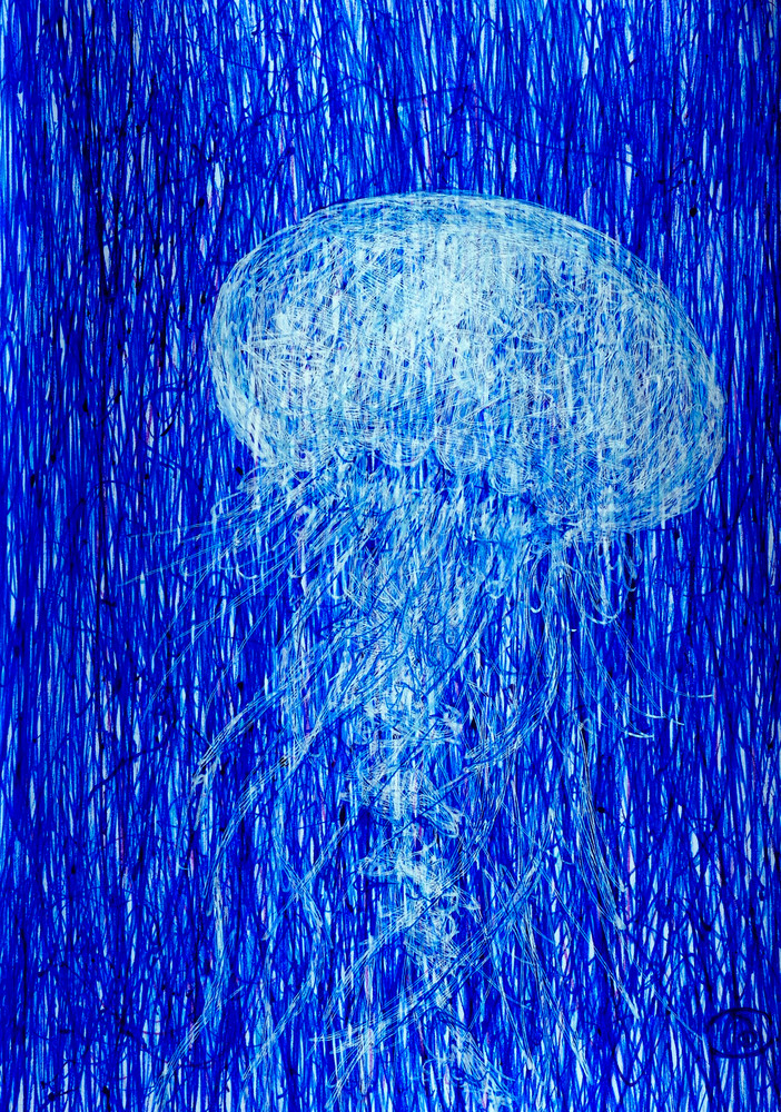 Fine Print of Blue Jellyfish ball pen drawing. Artist Irina Malkmus
