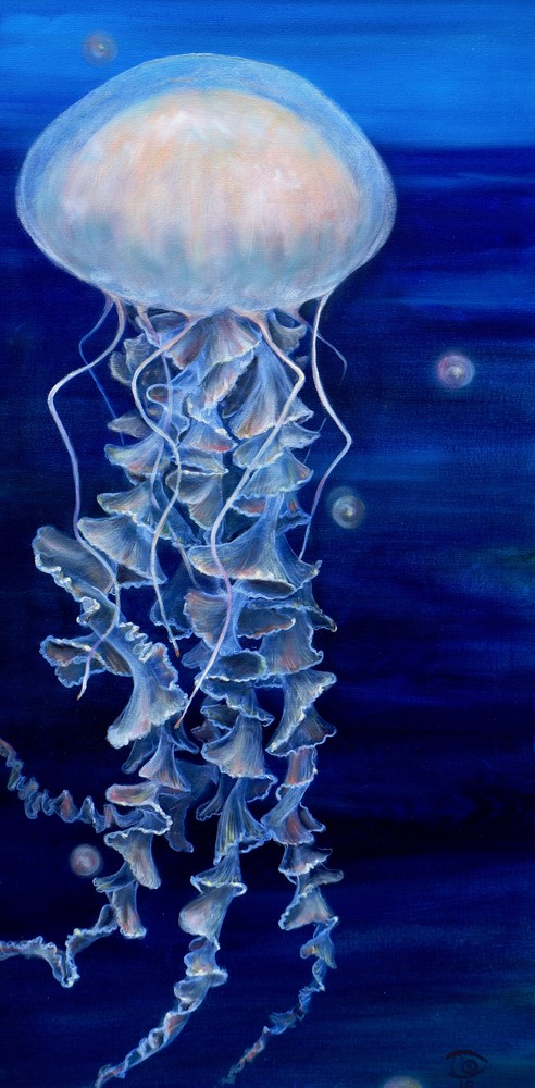 Lace Jellyfish - Fine Art Prints on Canvas, Paper, Metal & More by Irina Malkmus