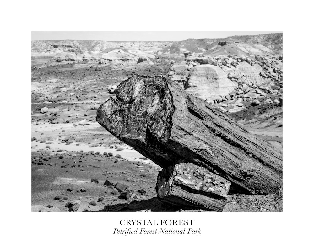 Crystal Forest, Petrified Forest National Park Photography Art | Robert B. Decker - Fine Art | Photography