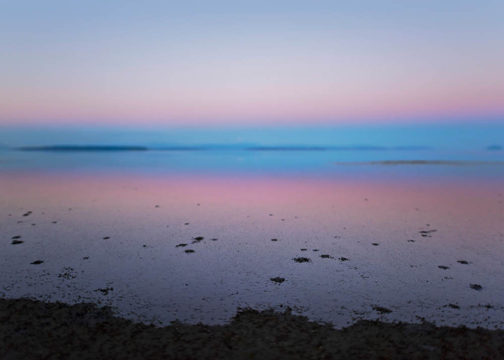 Tide at Dusk #1 Tide at Dusk #1