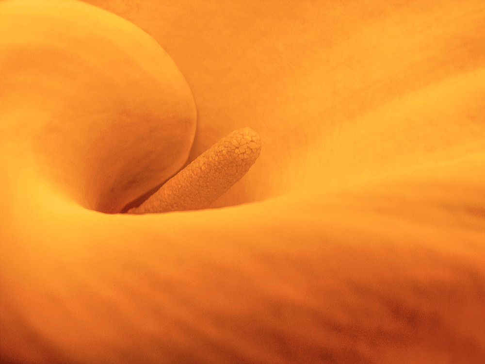Dune Art | alexanderblackphotography