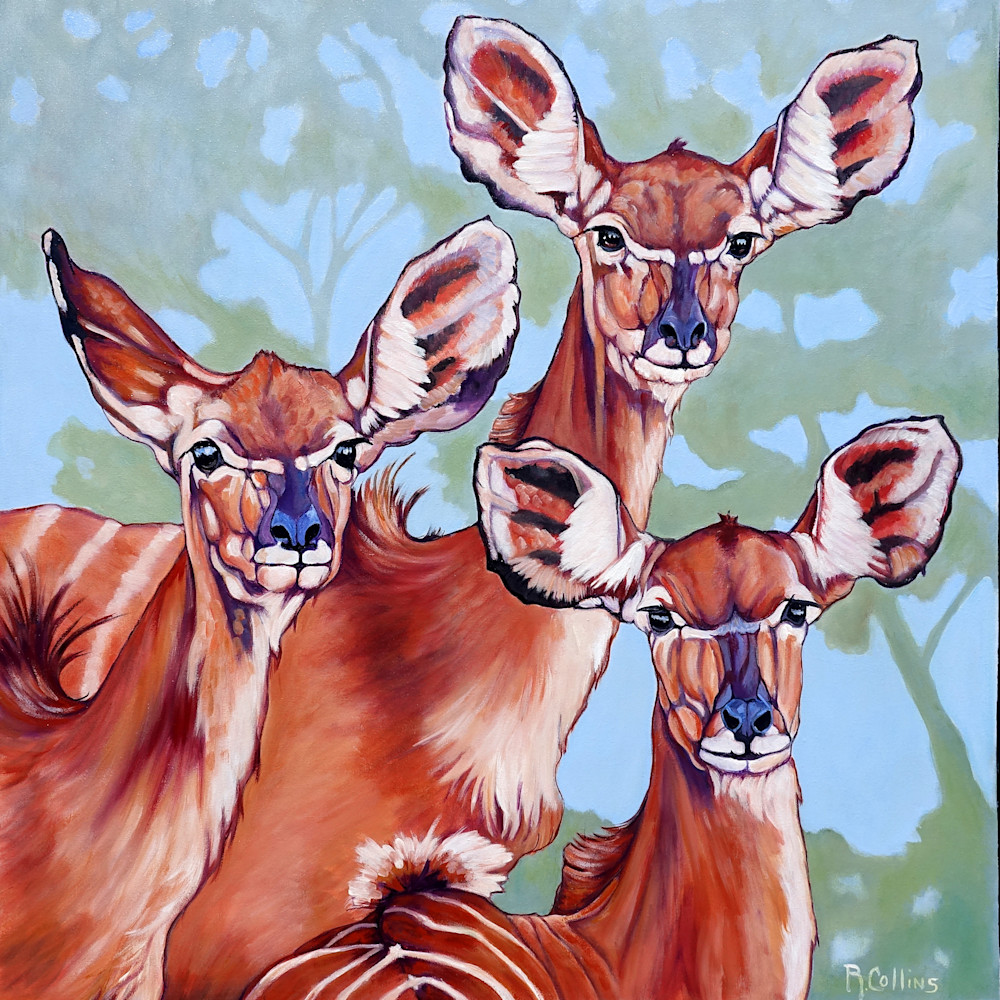 antelope, deer, african wildlife