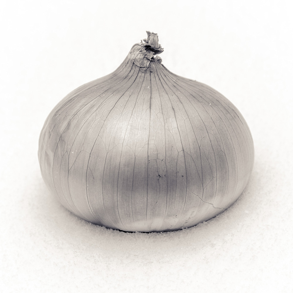 Onion Onion