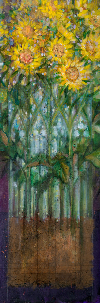Sunflower; Cathedral View Art | Freiman Stoltzfus Gallery