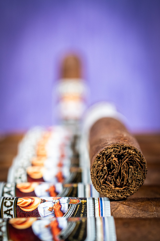 The Lineup Photography Art | Photographer David Wilson, LLC