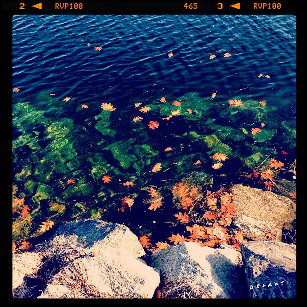 Tidal Pond Wonder Instagram Print