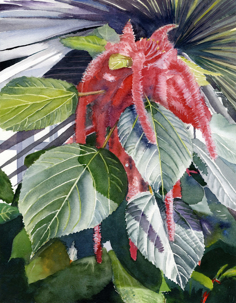 Red Chenille Garden Botanical Flower Print