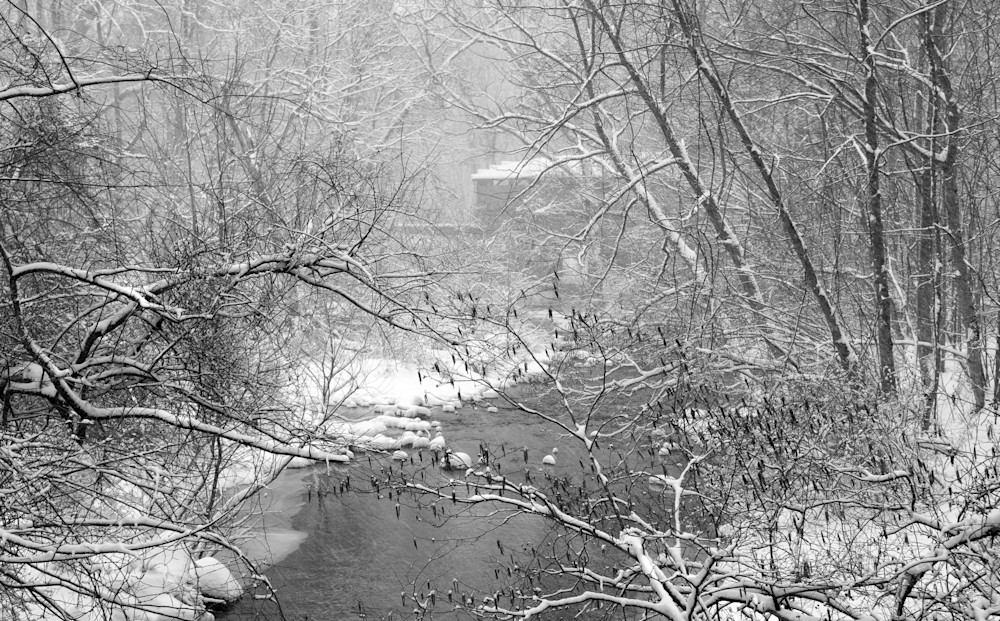 Late Winter at French Creek Michael Sandy Photography