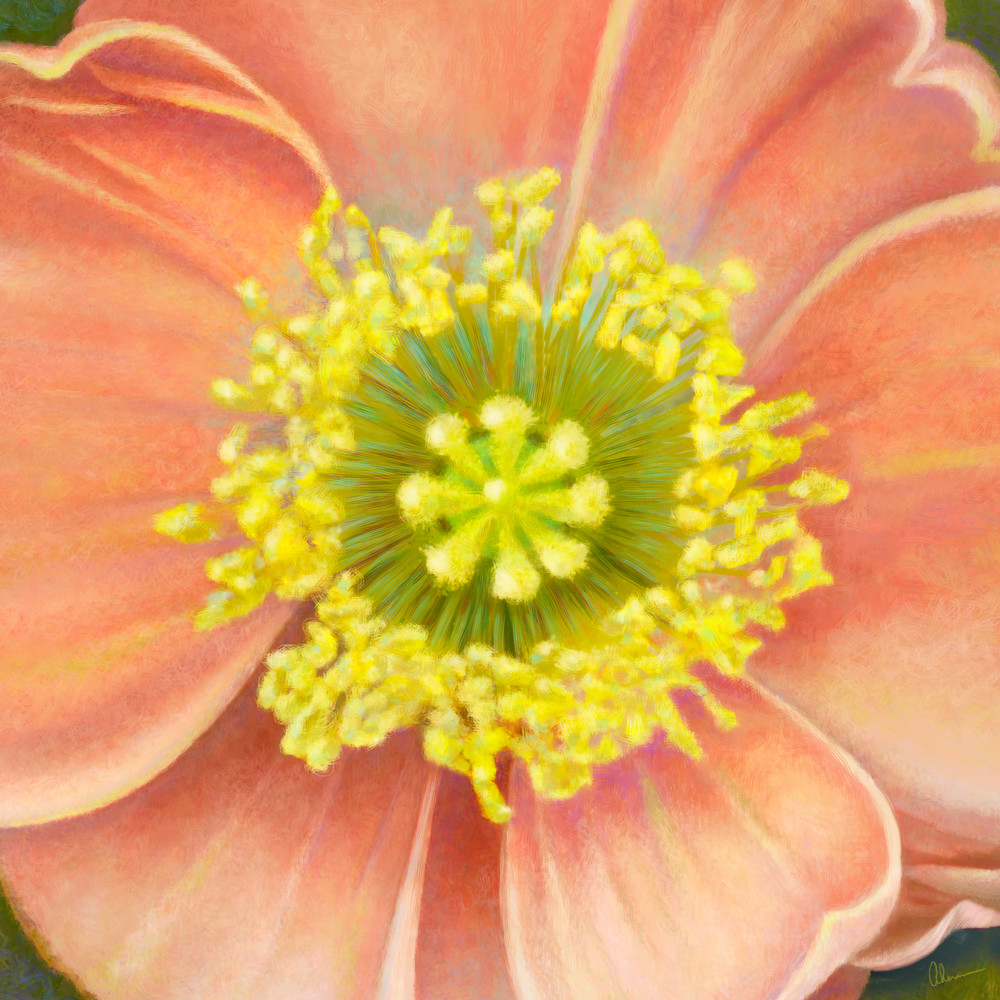 CJ's Poppy, wall art. A print of an original painting by the artist, Mary Ahern.