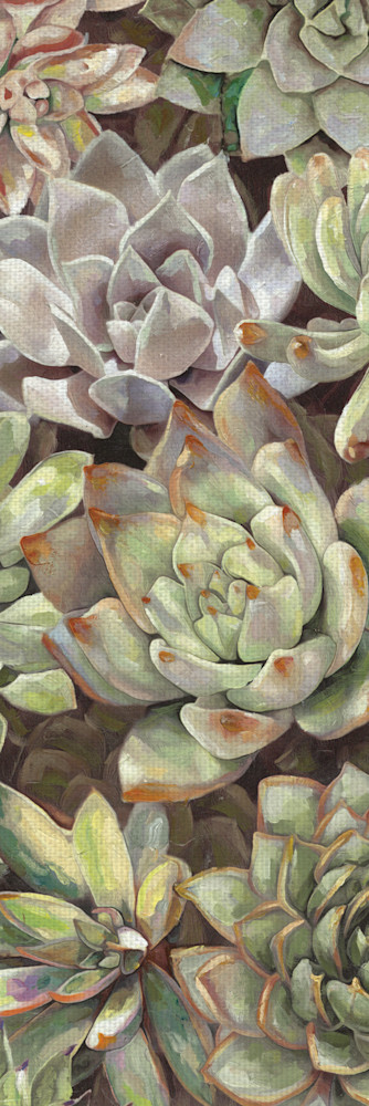 Desert Garden Panel I by artist Dixon Design Group Wrapped Canvas Painting Art Print Desert Garden Panel I by artist Dixon Design Group Wrapped Canvas Painting Art Print