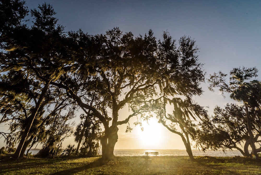 Oak Serenity Sunrise Photography Art | Gingerich PhotoArt