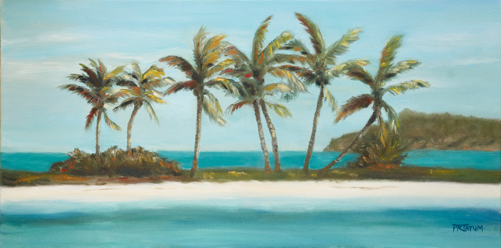 Caribbean Paradise Ii Art | Pamela Ramey Tatum Fine Art