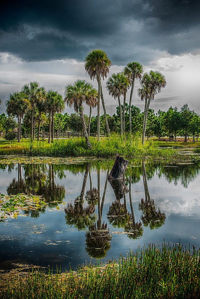 Forgotten Florida Photography Art | Photographer David Wilson, LLC