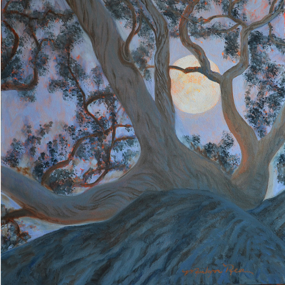 Oak Moon Rise  Art | Marilyn Rea Nasky Art