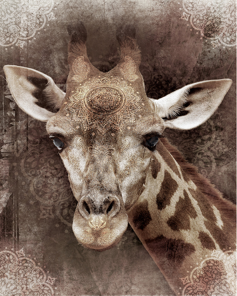 Global Giraffe I by artist Belle Maison Wrapped Canvas Photo Art Print Global Giraffe I by artist Belle Maison Wrapped Canvas Photo Art Print