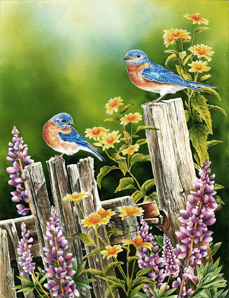 Bluebird Morning Original Watercolor Painting Available As A