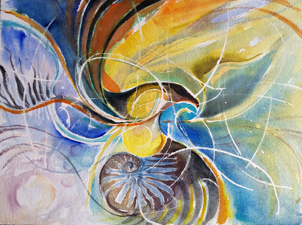 Cormorant And Nautilus Art | Bright Spirit Studio