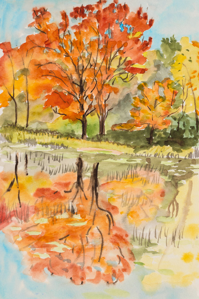'Red Maple Lake' Maine Watercolor Art for Sale